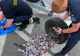 Captură de peste 10.000 de țigări de contrabandă la granița cu Bulgaria: erau ascunse la roțile de rezervă și în bagaje