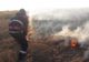 Trafic oprit pe DN2, din cauza unui incendiu de vegetație