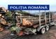 Nereguli constatate de poliţiştii buzoieni la regimul silvic