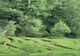 Pământul o ia la vale văzând cu ochii în zona  Bâsca Rozilei