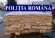 Controale pe linia delictelor silvice