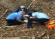 Video: Femeie accidentată pe un traseu montan, salvată de jandarmii montani buzoieni