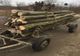 Cercetat pentru tăiere ilegală şi furt de arbori