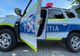 Bănuit că a furat aproximativ două tone de grâu, identificat de polițiștii din Costești