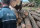 Controale ale poliţiştilşor de la Secţia de poliţie rurală Beceni pentru protejarea fondului forestier