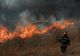 Cinci incendii de vegetație pe teritoriul județului Buzău