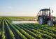 Corpul de Control al Ministerului Agriculturii, verificări la legumicultorii din Buzău suspectaţi de tratarea tomatelor cu substanţe interzise