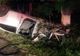 Accident mortal pe DJ203D. O șoferiță a intrat cu mașina într-un copac și s-a răsturnat în afara părții carosabile